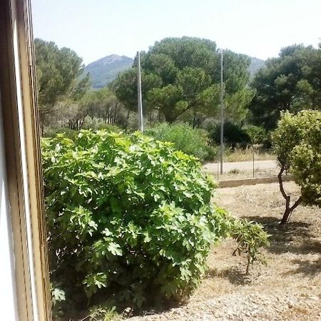 Privacy & Relax In Sardegna Porto Conte Exterior foto