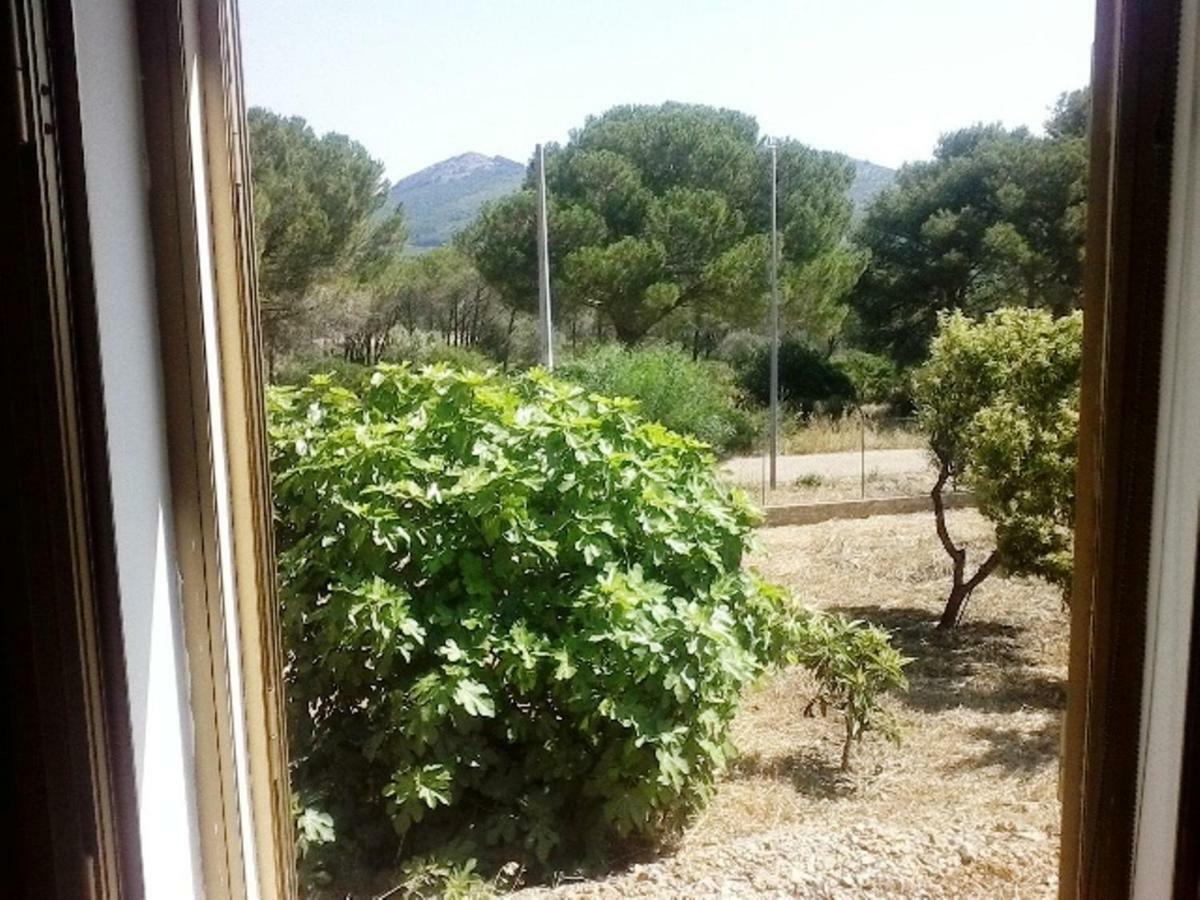 Privacy & Relax In Sardegna Porto Conte Exterior foto