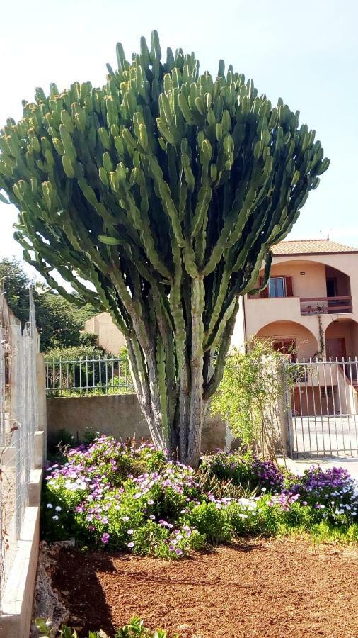 Privacy & Relax In Sardegna Porto Conte Exterior foto